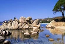 九游-东契奇重要时刻出色发挥，公牛带队取胜！比赛高潮迭起的简单介绍